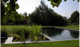 ეკოლოგიური აუზი