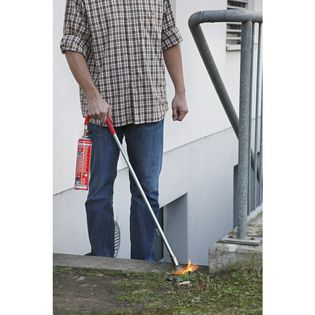 სარეველების სანთურა - 3