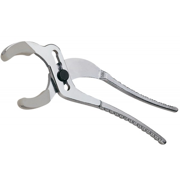 ბრტყელტუჩა  10″ 7.75